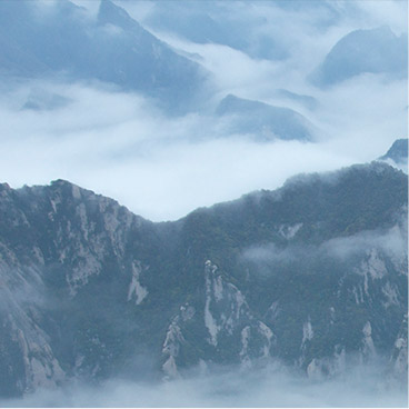 在线ddos网页端